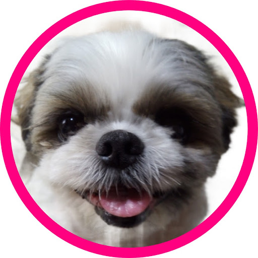 marunwonderland logo